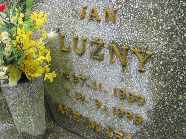 Roman Luźny 1946 Młynary - Grobonet - Wyszukiwarka osób pochowanych