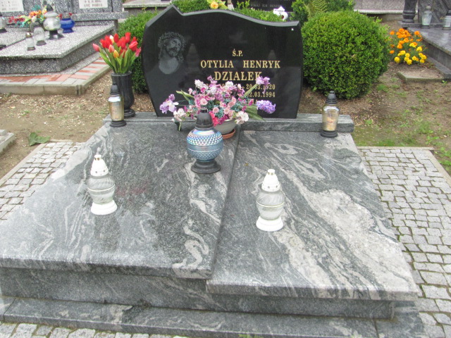 Grób Henryk Działek