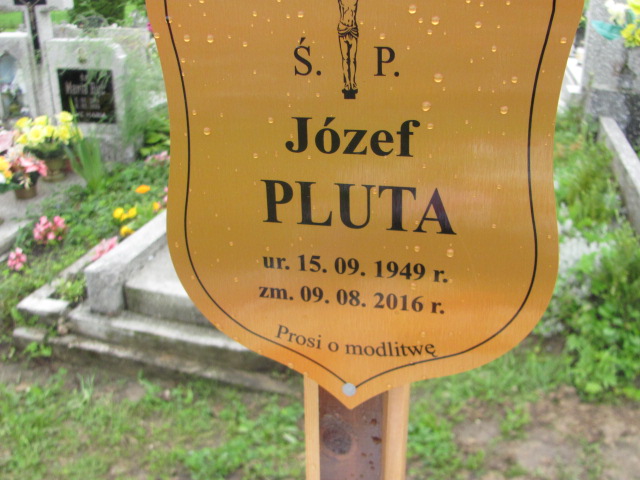 Józef Pluta  1949 Młynary - Grobonet - Wyszukiwarka osób pochowanych