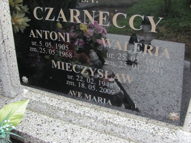 Antoni Czarnecki 1905 Młynary - Grobonet - Wyszukiwarka osób pochowanych