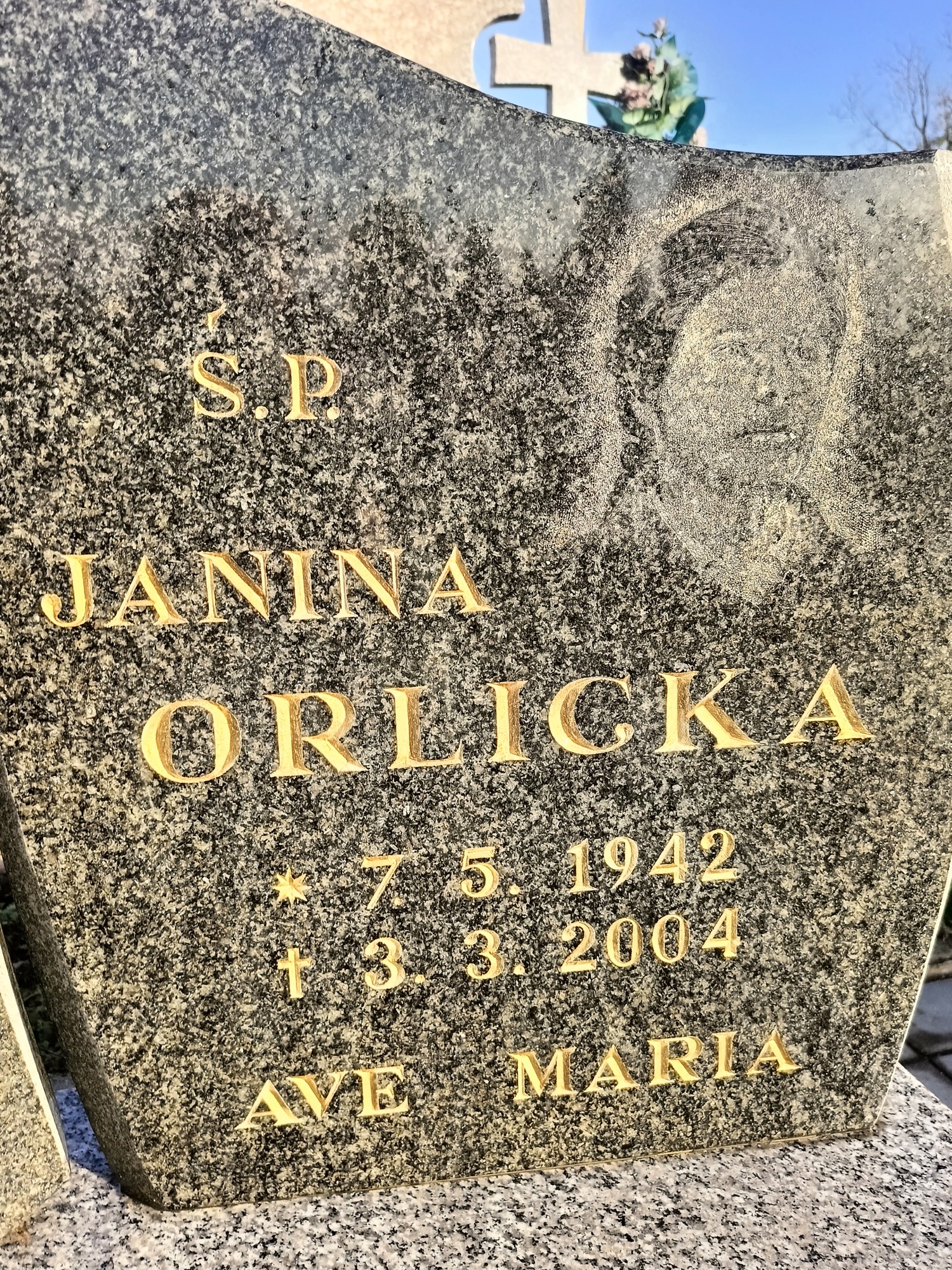 Grób Janina Orlicka