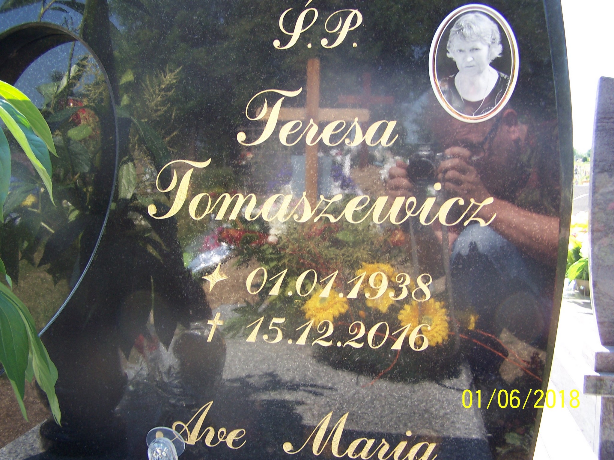 Teresa Tomaszewicz 1938 Młynary - Grobonet - Wyszukiwarka osób pochowanych